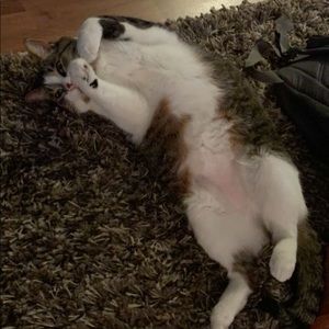 Meet your Posher, Matt